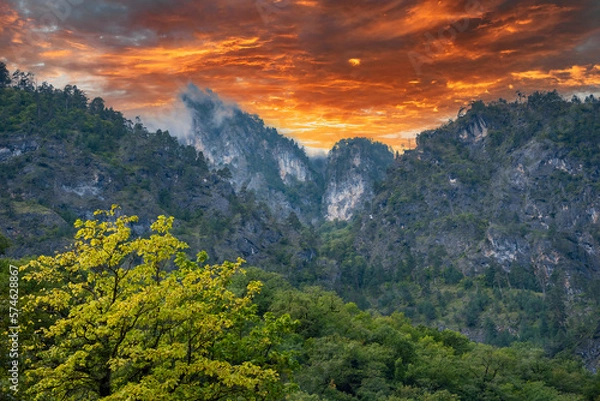 Fototapeta Mountains and forests of Abkhazia.