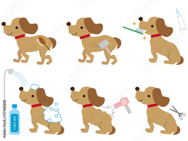 Obraz 犬の手入れ