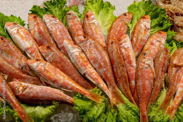 Fototapeta fresh mullets on fish market