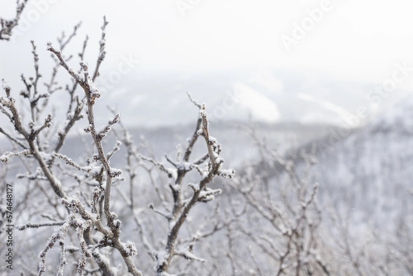 Obraz beautiful winter mountains. View on the town and river. Zhiguli mountains