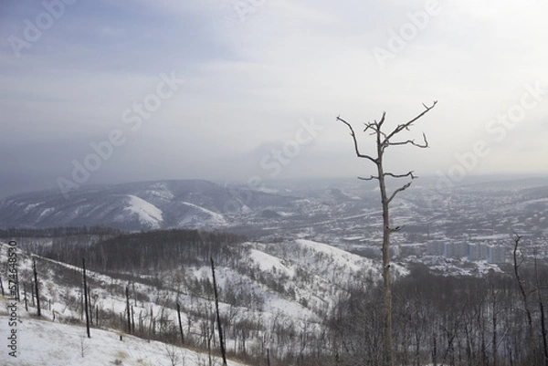 Fototapeta beautiful winter mountains. View on the town and river. Zhiguli mountains