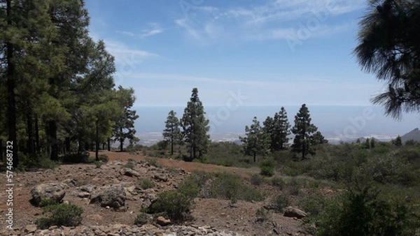 Obraz El Teide
