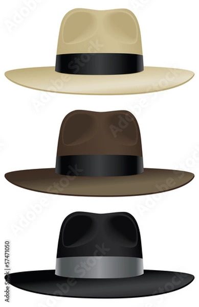 Obraz Fedora z szerokim rondem