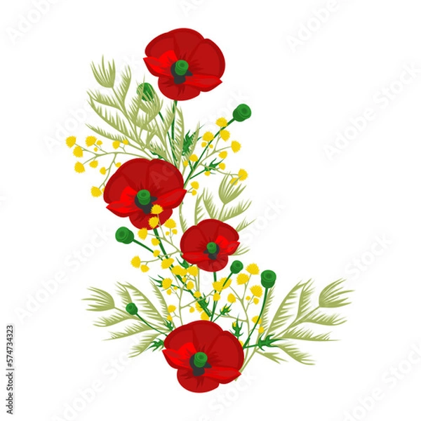 Fototapeta Red poppy isolated, mimosa on a white background, red and yellow flowers, flowers for the frame, poppies day, memorial day, spring flowers, women's day, mother's day, March 8, remember, Remembrance