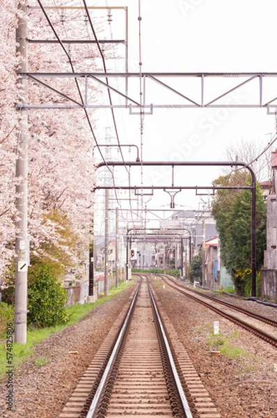 Obraz 線路沿いに咲く桜