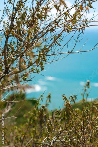 Fototapeta Tree in the sky