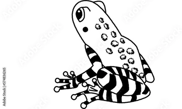 Obraz 世界自然遺産の島の生き物　アマミイシカワガエルの線画のみ