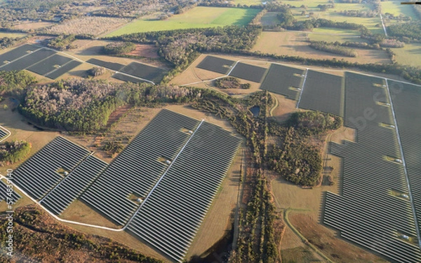 Obraz Solar Farm in Florida