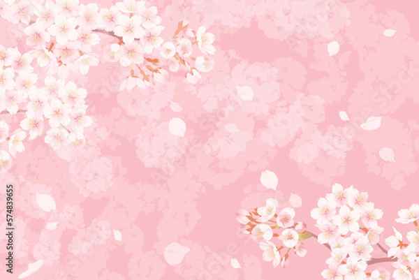 Fototapeta 満開の桜と桜吹雪のイラスト、春のイメージの背景素材