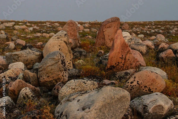 Obraz Remains of an old kayak stand along the coast of Hudson Bay north of Arviat at a place called Qikiqtarjuq, Nunavut, Canada