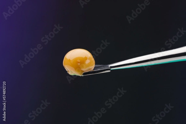 Obraz Live Rosin on a dab tool 