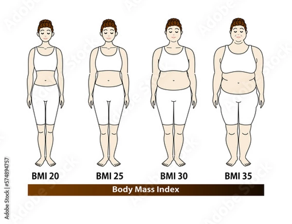Fototapeta ボディマスインデックス 若い女性の体形変化 ダイエットのビフォーアフター 正面 イラスト ベクター