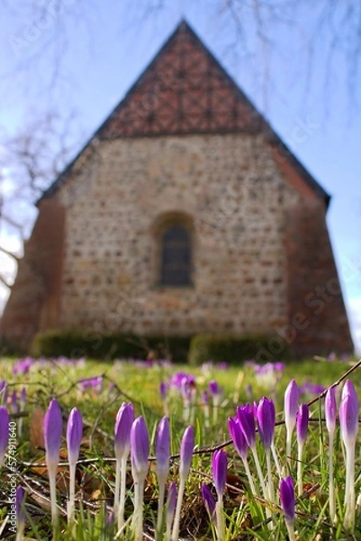 Obraz Der Frühling ist da