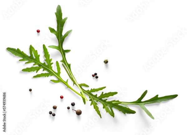 Fototapeta Collection of fresh herb leaves. arugula Spices, herbs on a white table. PNG Food background design element with transparent shadow on transparent background.