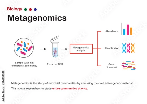 Fototapeta Biology diagram show concept of metagenomics that is a field of microbiology that studies the genetic material of entire microbial community.