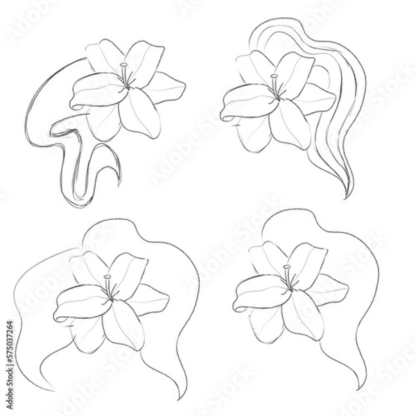 Obraz set of lily flower with leaves in line style.  sketches for tattoos