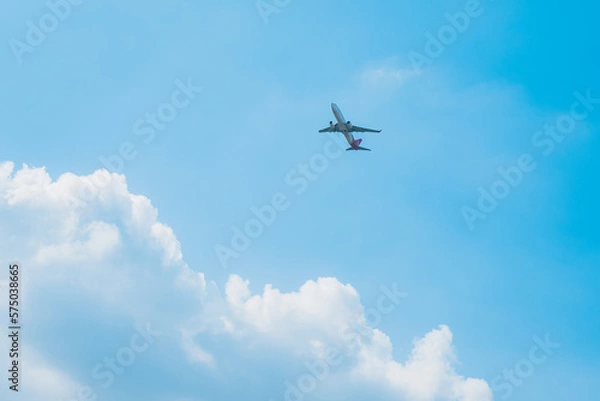 Obraz airplane in the sky