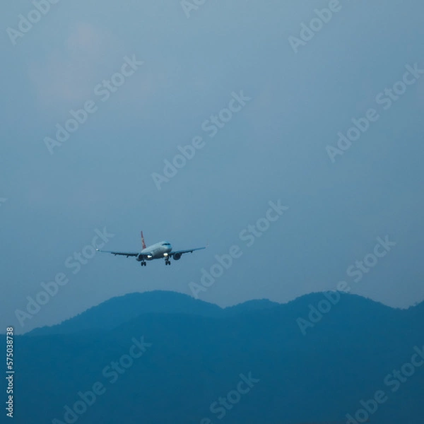 Obraz airplane landing