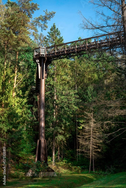 Fototapeta A path above the trees in Lithuania where you can walk at the height of tree tops and explore nature