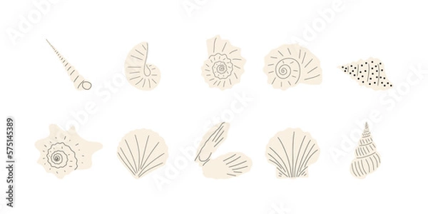 Fototapeta Tropical underwater seashell. Hand drawn sea mollusk shellfish element. Vector illustration in scandinavian style.