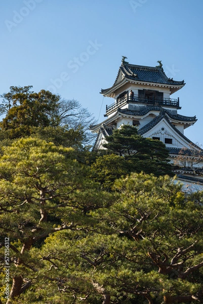 Fototapeta 日本　高知県高知市の公園内に建つ高知城の天守閣