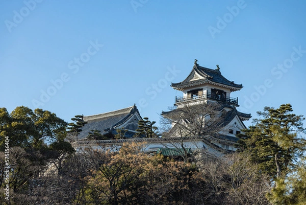 Fototapeta 日本　高知県高知市の公園内に建つ高知城の天守閣