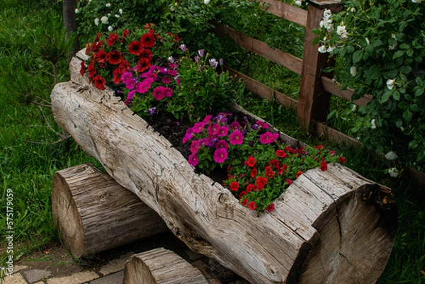 Obraz flowers in a basket