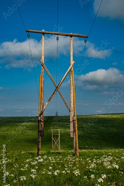 Obraz lines in the field