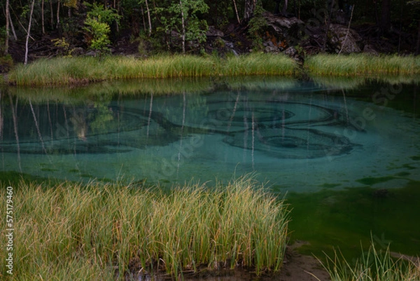 Obraz lake in the forest