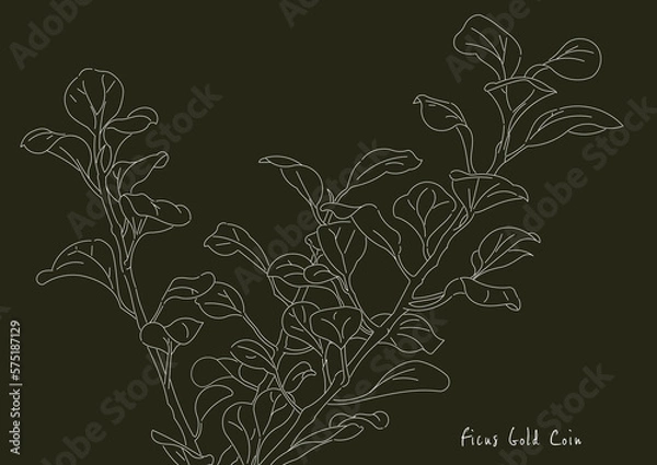 Fototapeta ゴールドコイン（黒）