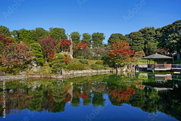 Obraz 目白庭園,紅葉