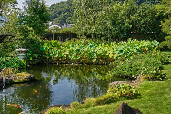 Obraz 高尾駒木野庭園