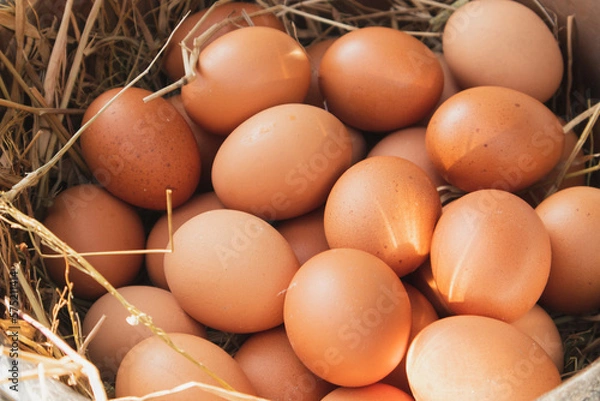 Obraz eggs in a basket