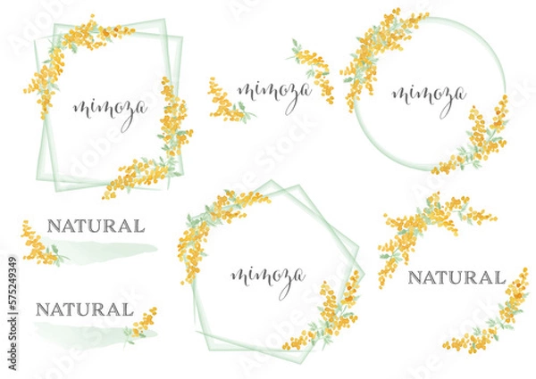 Obraz mimoza frame set