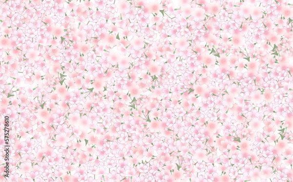 Fototapeta 一面の満開の桜　やや大きめ