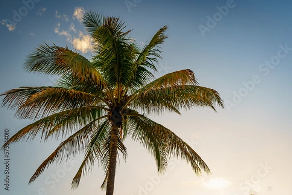 Fototapeta Sunrise over South Beach, Miami, Florida