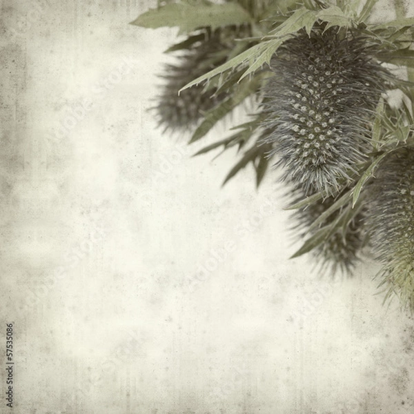 Fototapeta textured old paper background