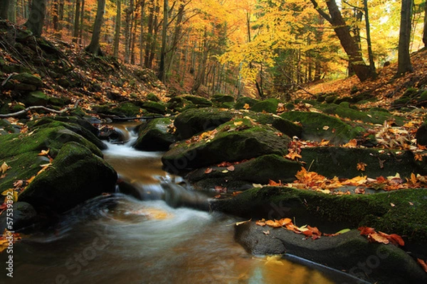 Obraz Jesień w pełni