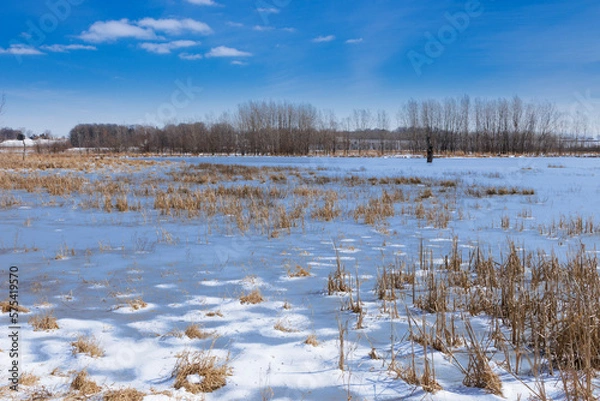 Fototapeta river in winter