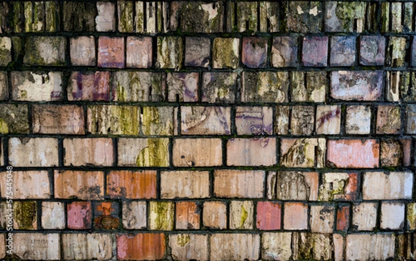 Fototapeta Brick wall texture with traces of mold and erosion