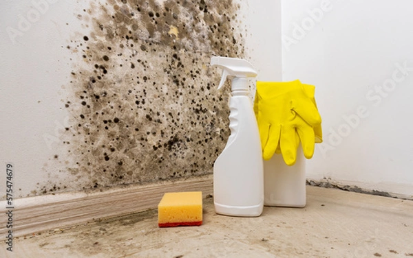 Obraz Removal of mold from the wall. Detergents for removal of fungus at home. Preparation for mold removal.