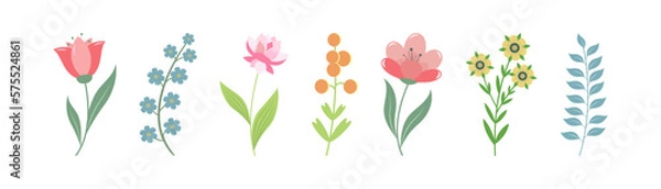 Obraz Set of spring flowers for decorative design