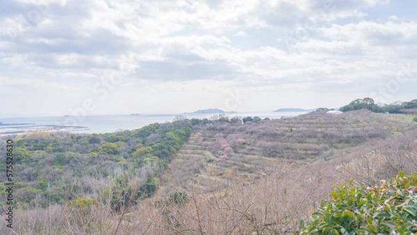 Obraz 綾部山梅林
