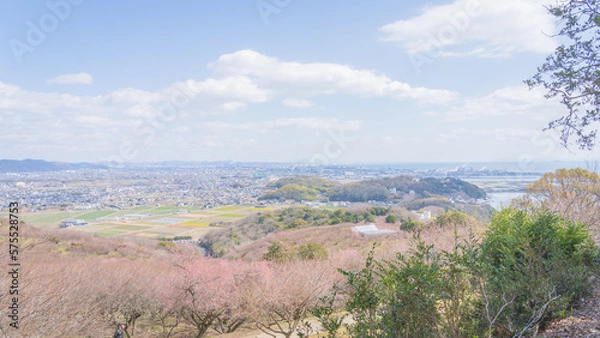 Obraz 綾部山梅林
