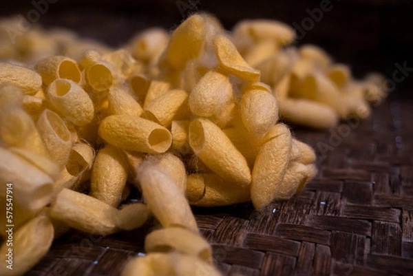 Obraz Golden cocoon silk.