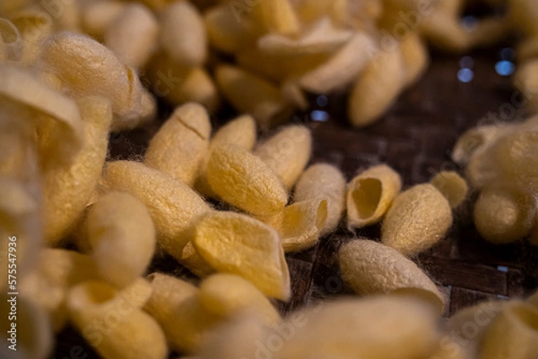 Obraz Golden cocoon silk.