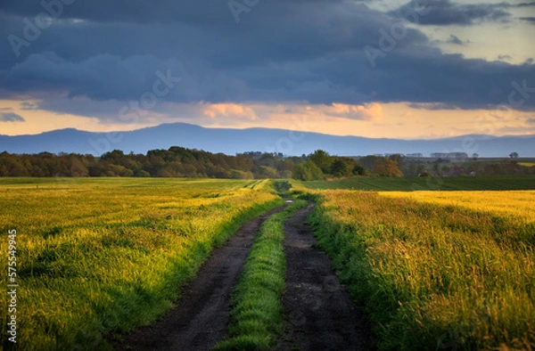 Obraz Polish landscape