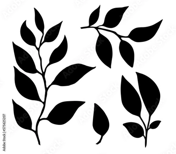 Fototapeta Set of leaves. Hand drawn decorative elements. Vector illustrationof silhouettes with leaves on a white background. Design elements