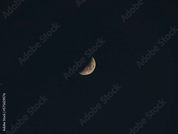 Obraz 冬の月（三日月）