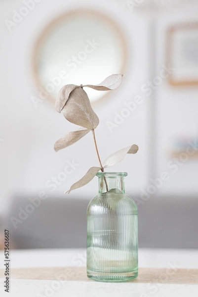 Obraz A design glass vase with a thin eucalyptus branch inside.